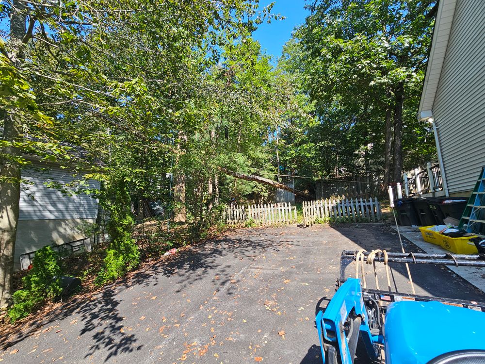 All Photos for Hired Gunz Services LLC in La Plata, MD