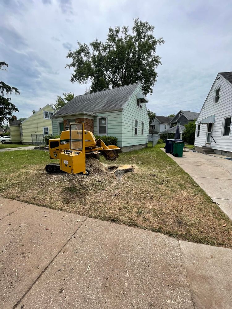 All Photos for Huntsville Tree Service in Huntsville, AL