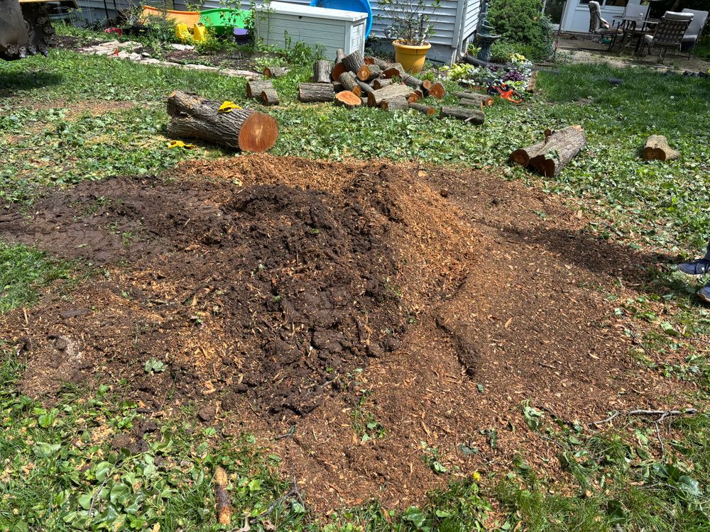 All Photos for Conrad's Stump Removal in Columbus, IN