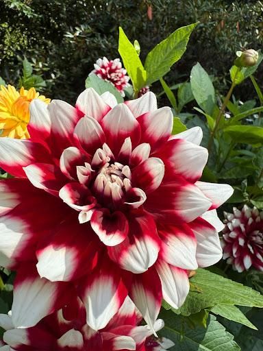 All Photos for Sustainable Property Services in Banner Elk, NC