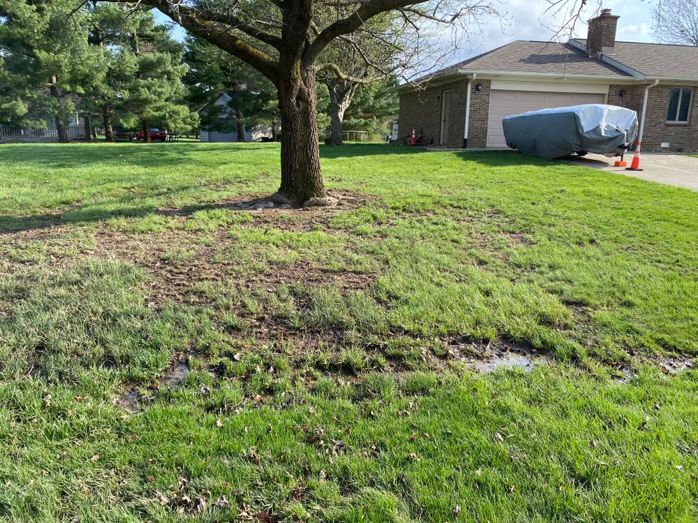 All Photos for Bearforce Lawn Care LLC in Greenfield, IN