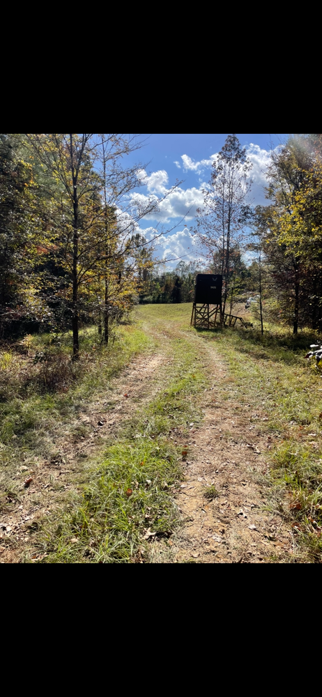 All Photos for Polasini Land Development in Starkville, MS