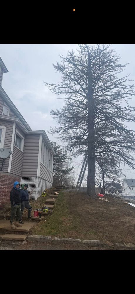 All Photos for The Construction & Demolition Man in Gardner, MA