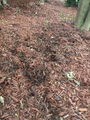 All Photos for Toppers Wildlife Removal in Garland, TX