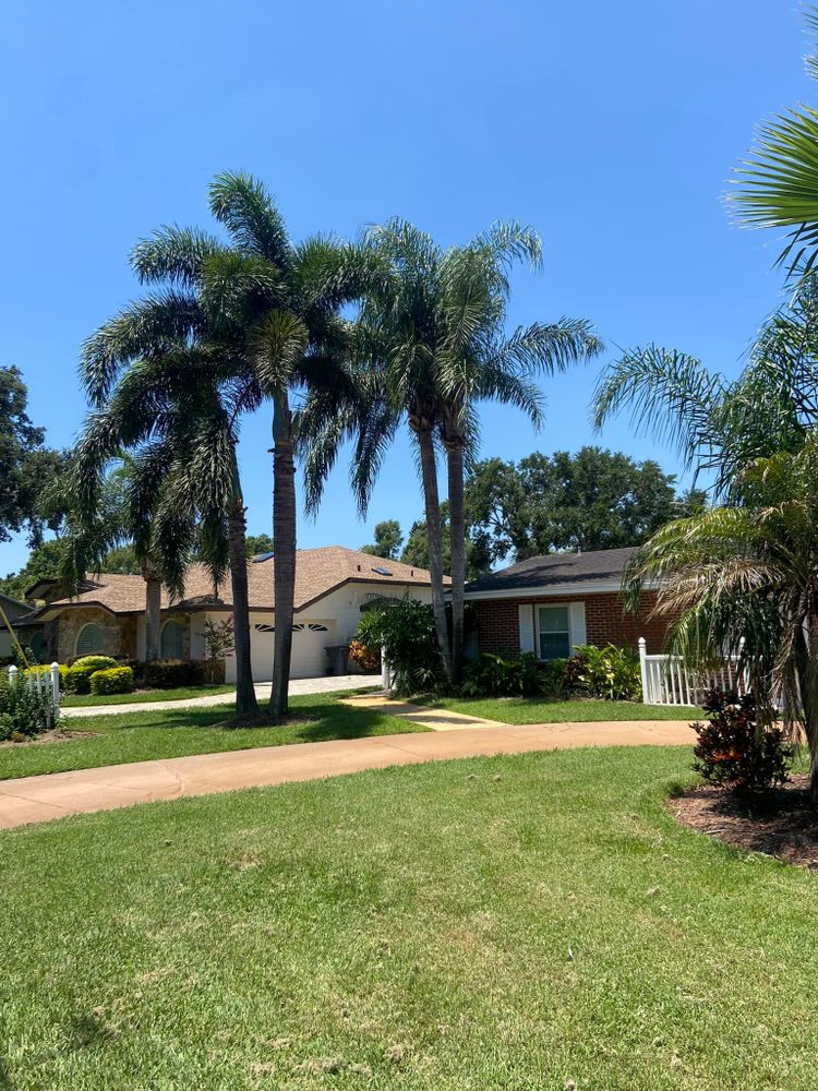 All Photos for Efficient and Reliable Tree Service in Lake Wales, FL