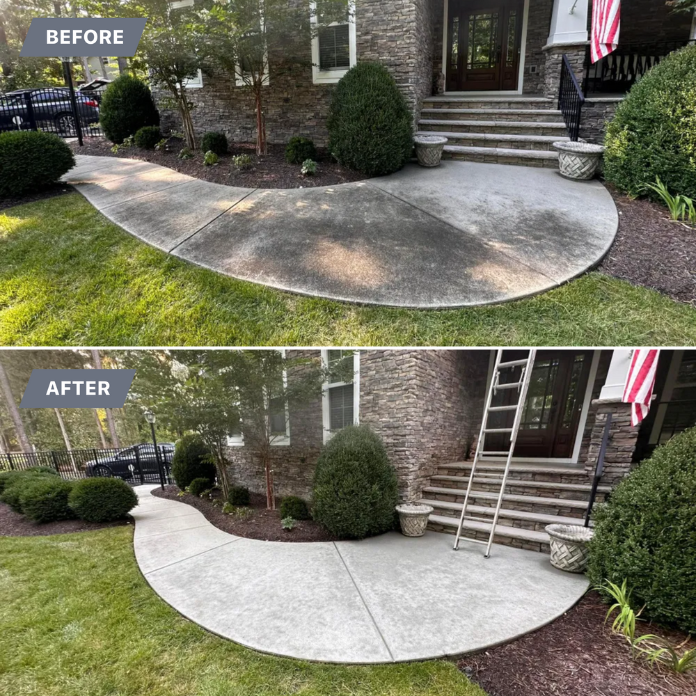 All Photos for LeafTide Solutions in Richmond, VA