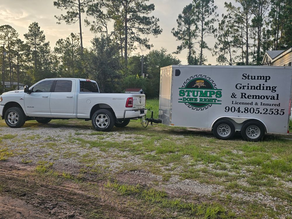 All Photos for Stumps done right LLC in Middleburg, FL