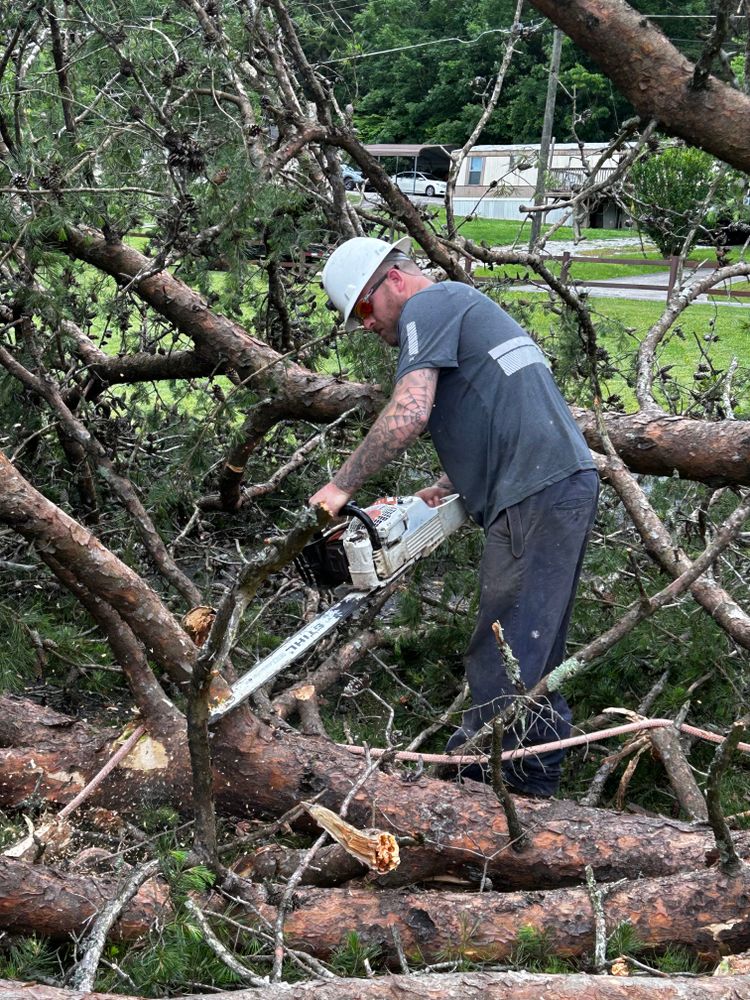 All Photos for Brocks Tree Service LLC in Rogersville, TN