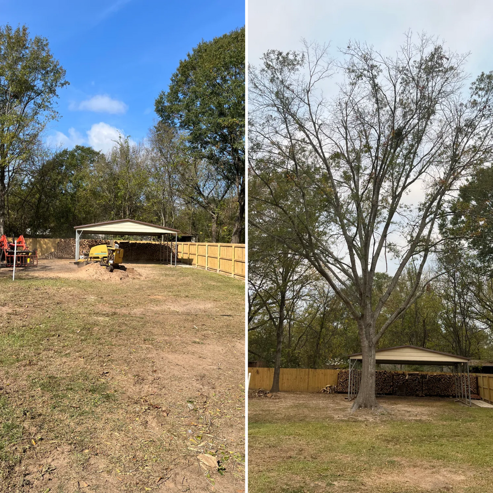 All Photos for JC Land and Tree Service in Kilgore, TX