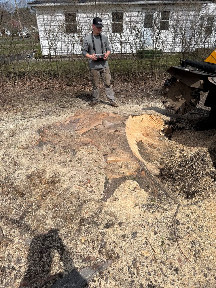 Stump Grinding for Lovenguth Logging and Tree Service in West Monroe, NY