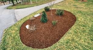 Enhance your landscape with our expert irrigation systems, ensuring efficient water usage and lush, healthy gardens year-round. Trust our tailored solutions for optimal plant growth and conservation right in your backyard. for Johnson Lawn Services in Fredericksburg, VA