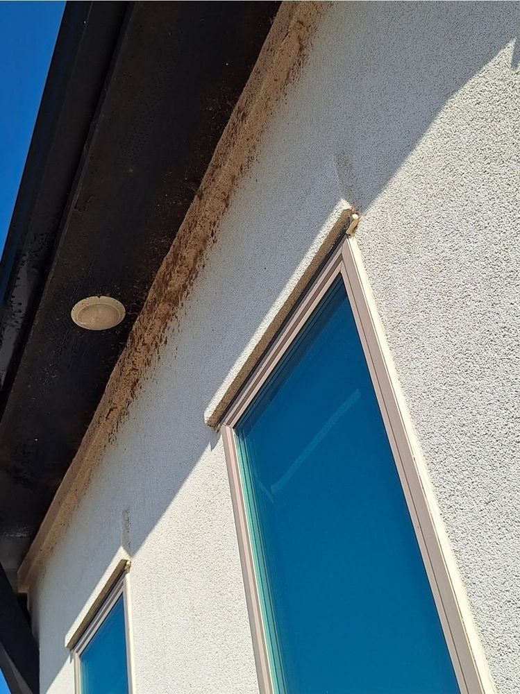 All Photos for Connected Exterior Cleaning in Houston, TX