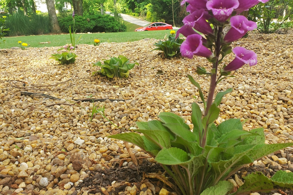 Mulch Installation for Zambrana Landscaping in Cobb County, GA