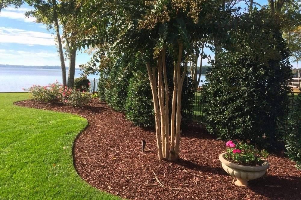 All Photos for Dumbo's Doggy Doors in City of Sammamish, WA