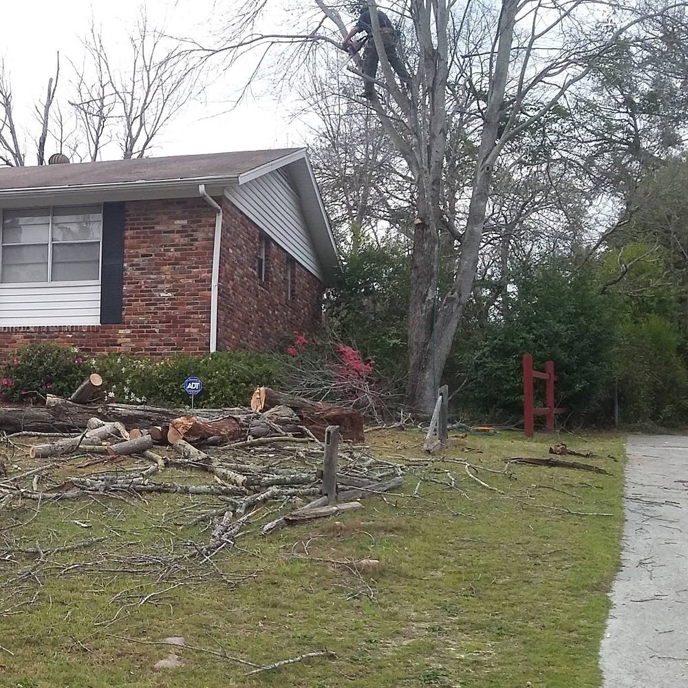 We also offer specialized Tree Removal & Pruning service to enhance the appeal and safety of your property, ensuring healthy, well-maintained trees. for E.P.I Lawncare & Pressure Washing  in Augusta, GA