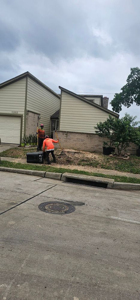 Tree Removal for Servin's Tree Care  in Houston, TX