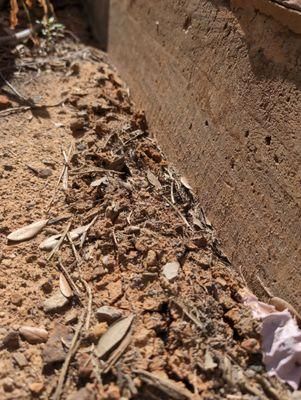 All Photos for Toppers Wildlife Removal in Garland, TX