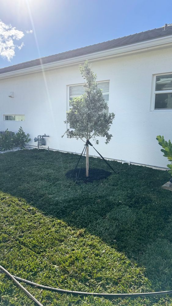 All Photos for South Florida Terra Systems in Boca Raton, FL