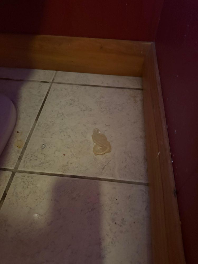 All Photos for A+ Cleaning and Services LLC in Deep Creek Lake, MD 