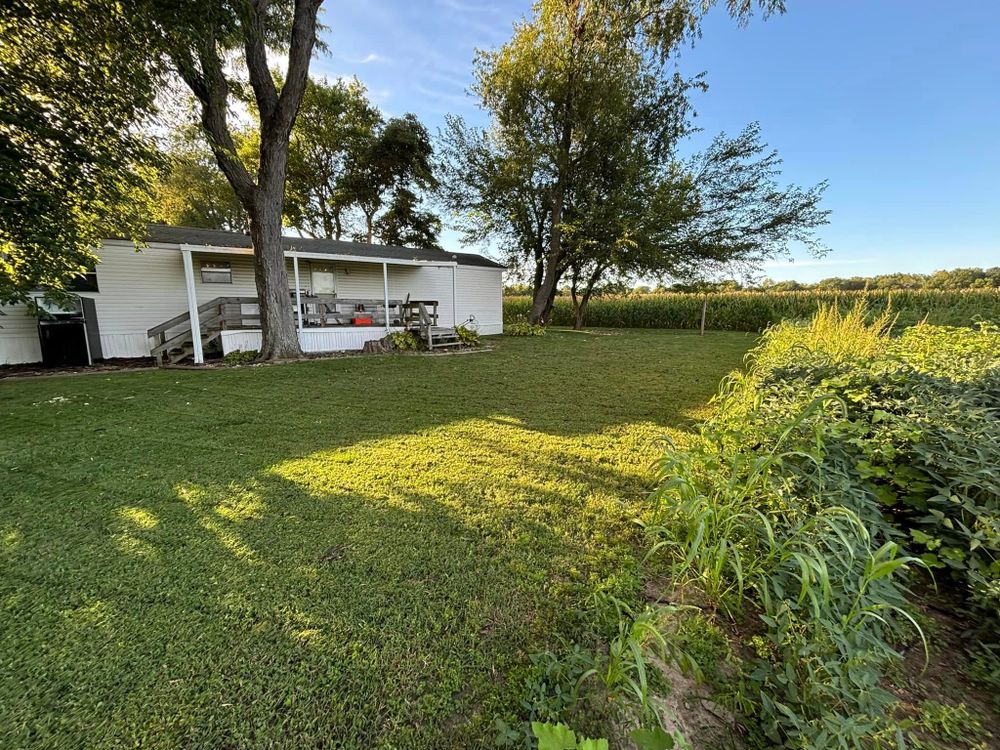 Enhance your home's curb appeal with our professional shrub trimming service, ensuring healthy growth and beautifully shaped plants that complement your landscape all year round. for KY Lawn Care in Springfield, IL