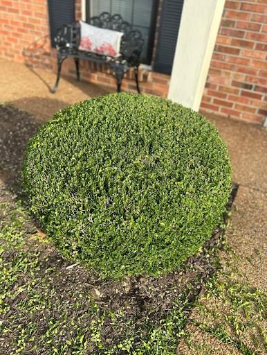 All Photos for MLC in Murfreesboro, TN