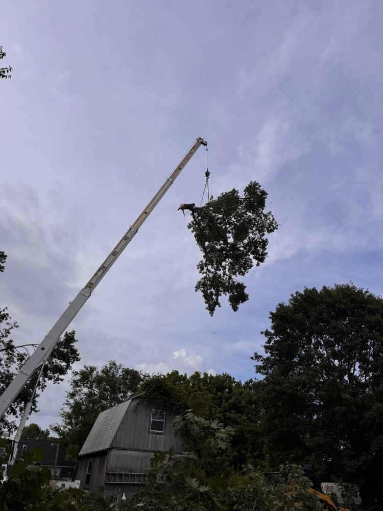All Photos for Mud Creek Vegetation Management in Russellville, AL