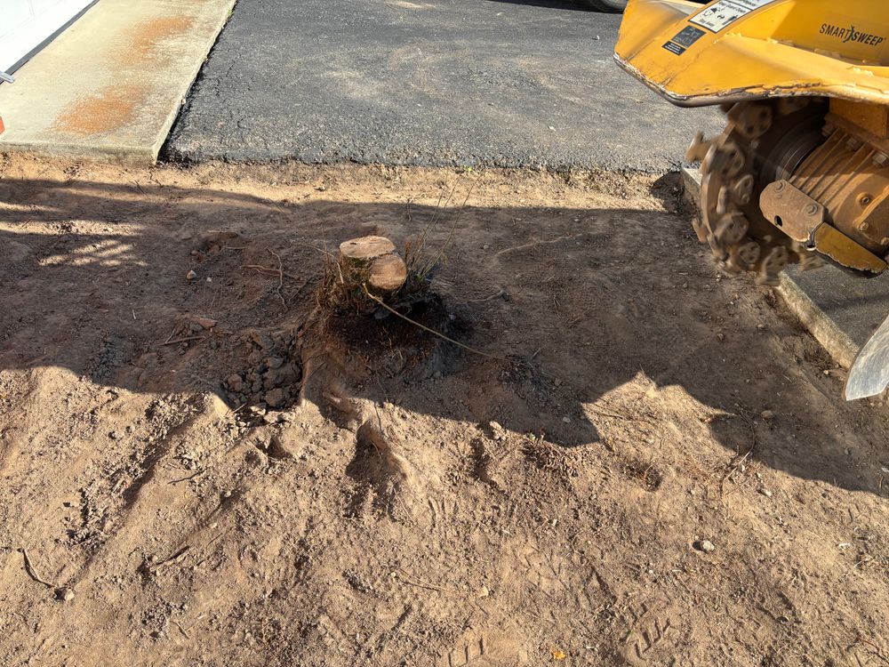 All Photos for Conrad's Stump Removal in Columbus, IN