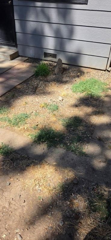 All Photos for Logan's Dump Run in Chico, CA