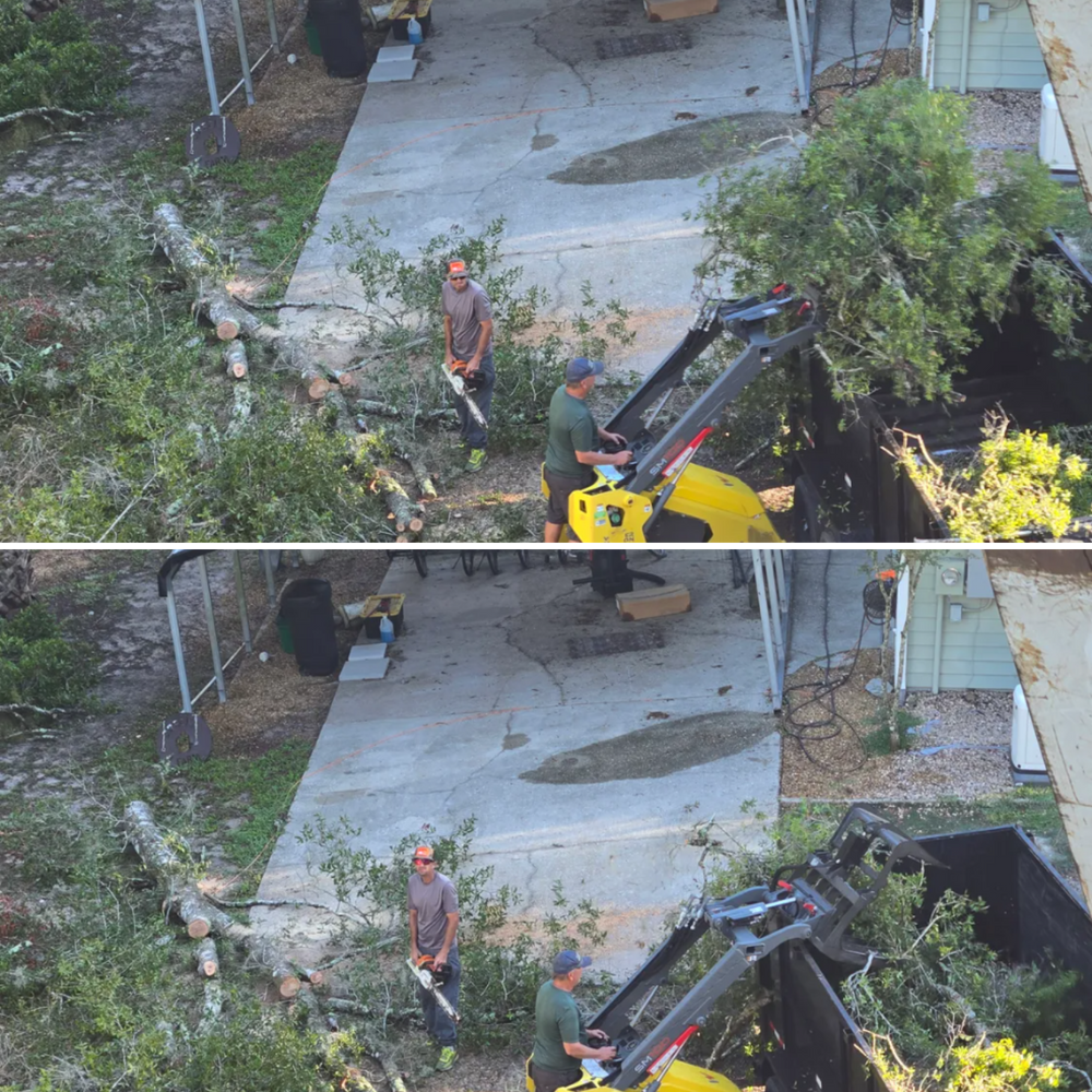 All Photos for Near Me Tree Service, Inc. in DeLand, FL