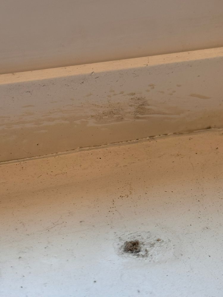 All Photos for Tony's Remodeling & Painting in Renton, WA