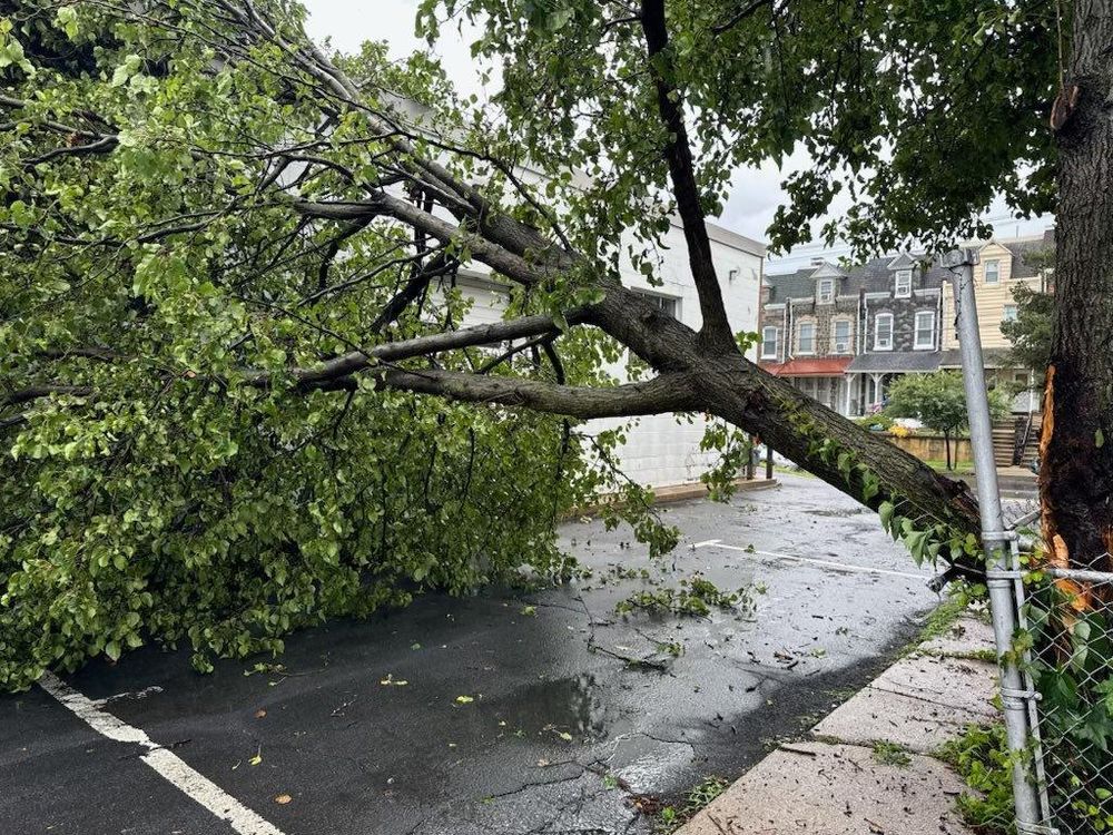 All Photos for Jonathan A. Henne Property Services. in Hamburg, PA