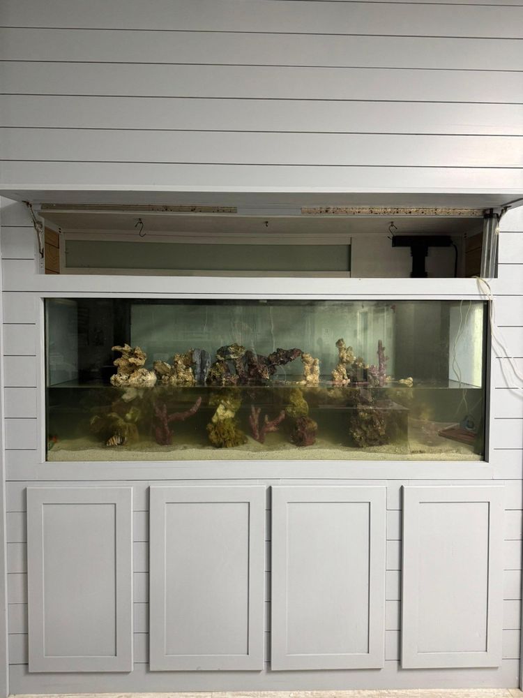 All Photos for Aquariums by Sharyn in The State of Florida, FL
