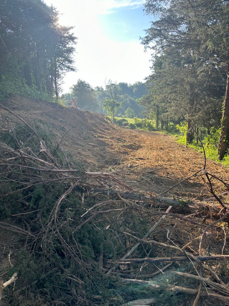 All Photos for Excavation Innovations in Rogersville, TN
