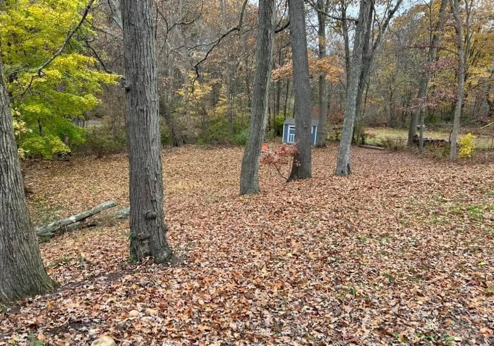 All Photos for Dibs Landscaping LLC in Cheshire, CT