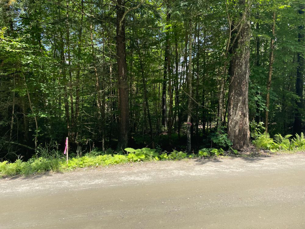 All Photos for Andy Naylor Excavation in Johnson, VT
