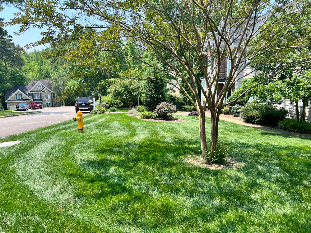 Lawn maitence for Wake & Franklin Grounds Maintenance in Raleigh, NC