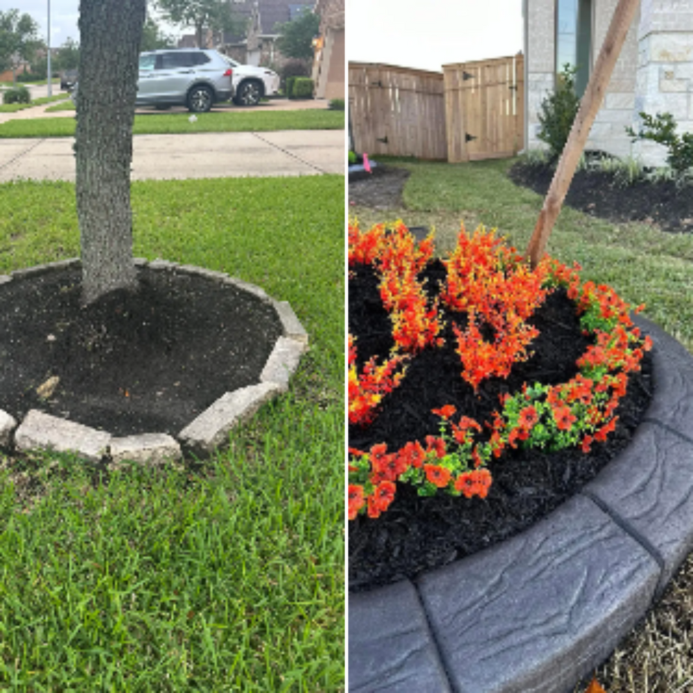 Before & Afters for Texas Curb N Borders in Houston, TX