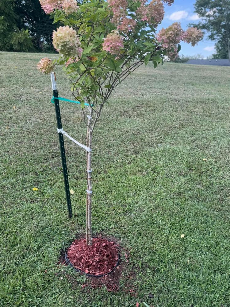 All Photos for Legends Lawn Care in Johnson City, TN