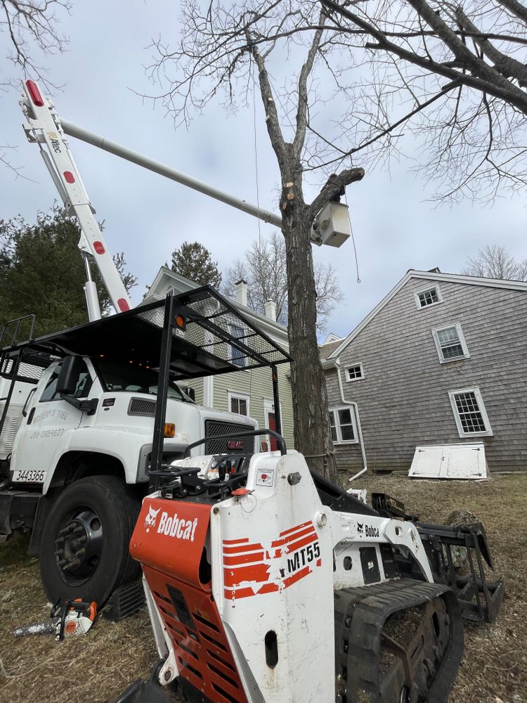 Tree Removal for Robery's Tree Service in West Wareham, MA