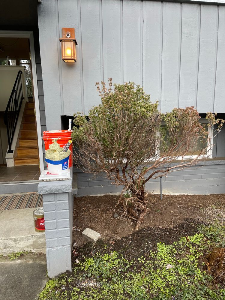 All Photos for Tony's Remodeling & Painting in Renton, WA