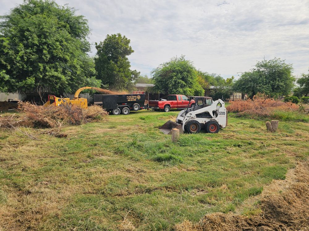 All Photos for T's Tree Service and Firewood in Apache Junction, AZ