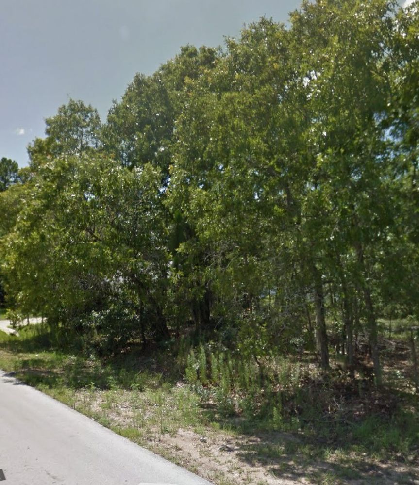 Land Clearing for J & E Land Clearing, LLC. in Dunnellon, FL