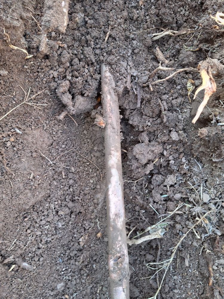 All Photos for Family Landscaping in Phoenix, AZ