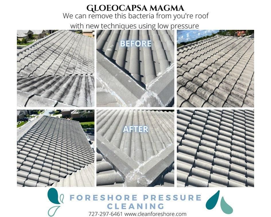 All Photos for Foreshore Pressure Cleaning Services Inc in Holiday, FL