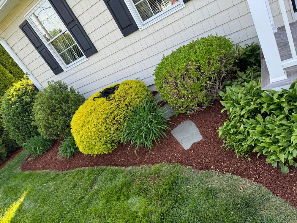 All Photos for Adams Landscaping in Springfield, MA