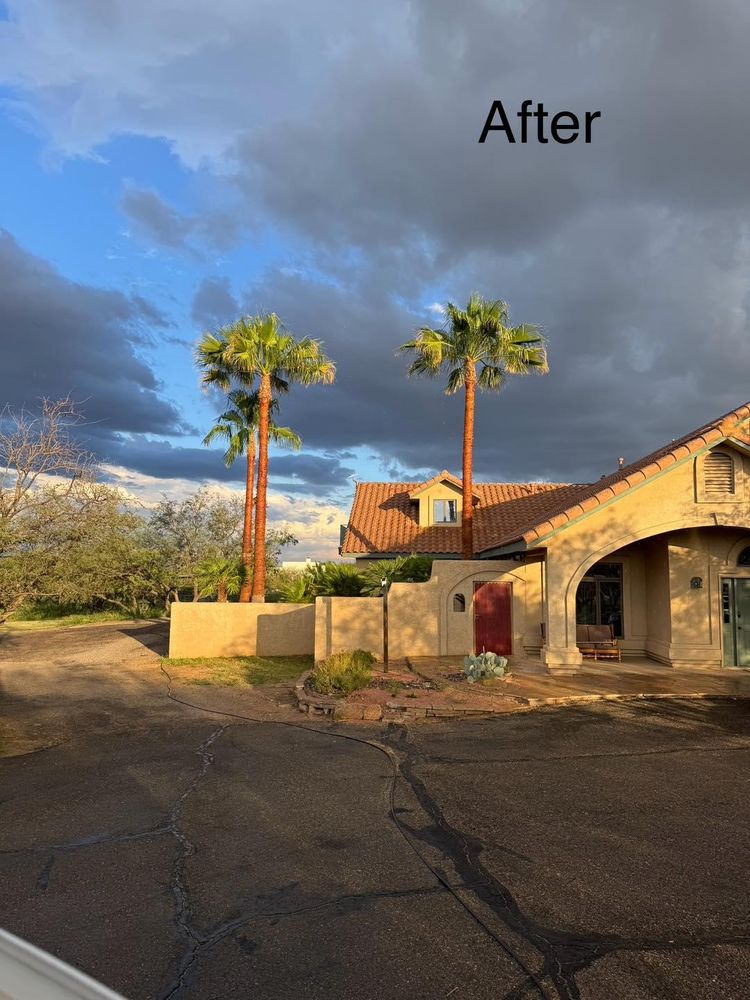 All Photos for By Faith Landscaping in Sierra Vista, AZ