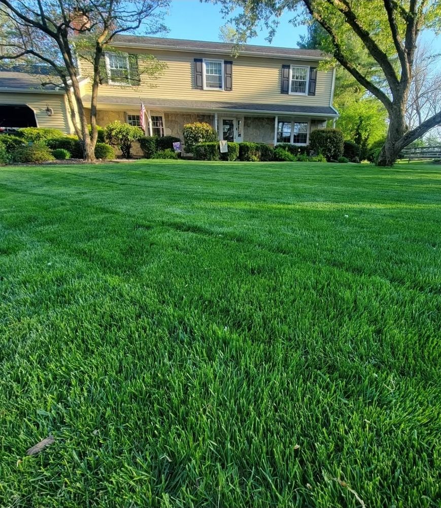 All Photos for Trippin A-Lawn in Bethlehem, PA