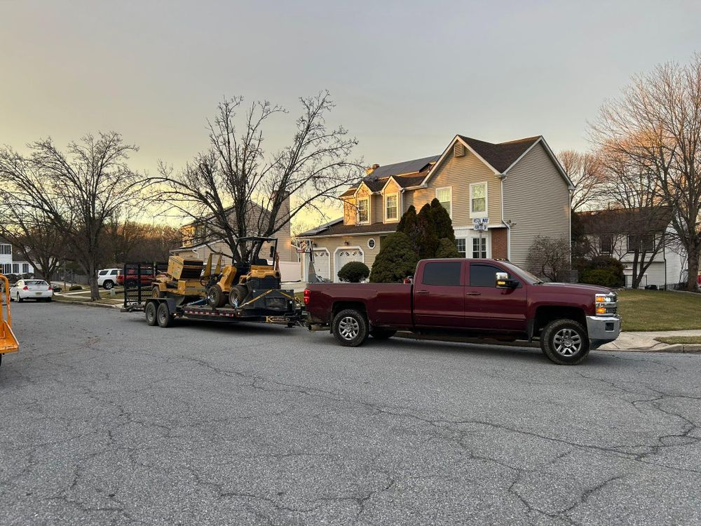 All Photos for Hingewood Tree Service in Salem, NJ