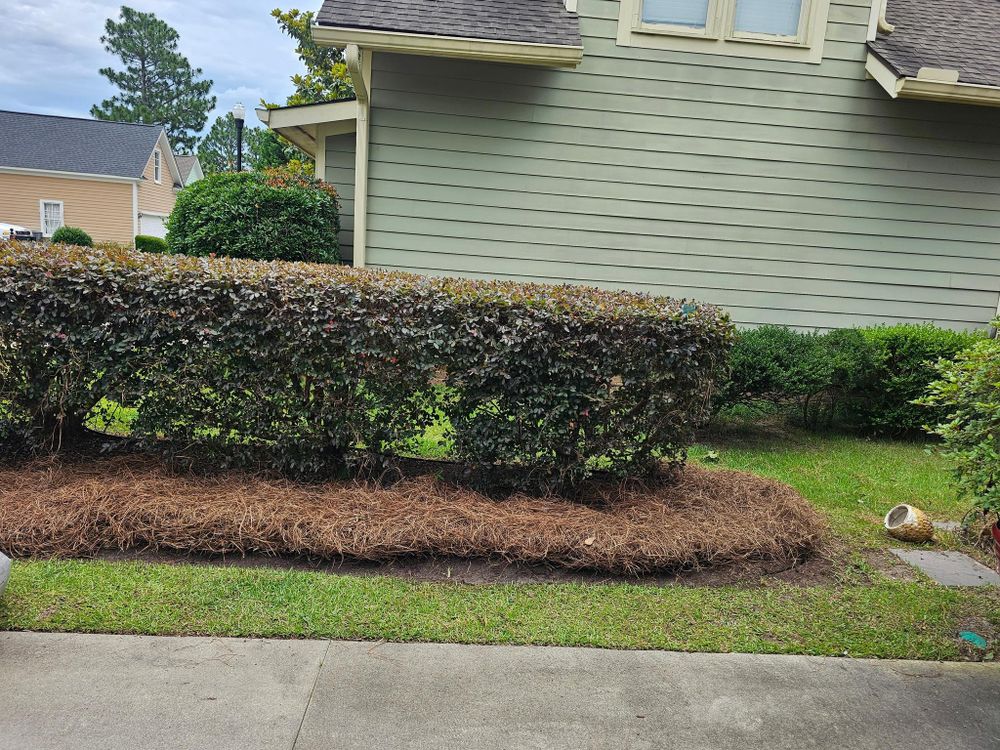 All Photos for 1 Man Does It Lawn Service in Blythewood, SC
