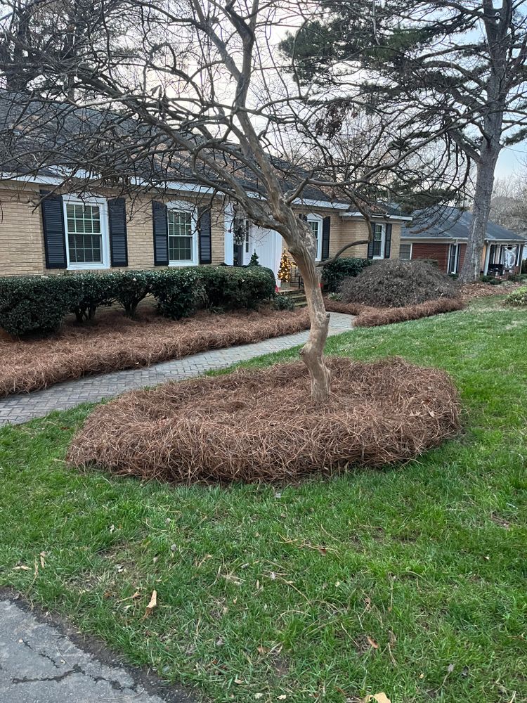 All Photos for Dream Cuts Landscaping and Lawn Care LLC in Gastonia, NC